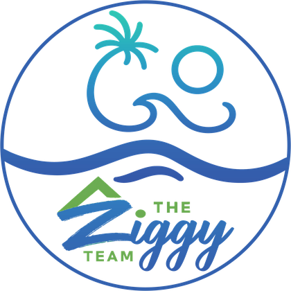 The Ziggy Team